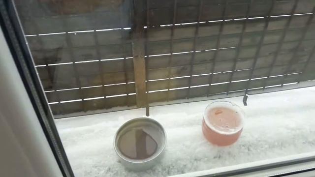 COOKING #1 ДОШИК С ЖЕЛЕ смотреть онлайн