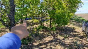 Пчелопакеты 2021.  В этом году трудно с пчелопакетами .