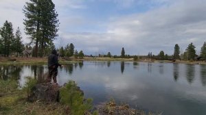 Рыбалка Нахлыстом / Практика Прокидывания в Центральном Орегоне #рыбалка #flyfishing #орегон #orego