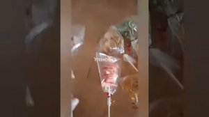 Вкусный и полезный букет из пастилы и фруктовых чипсов! Сюжет клиента нашей компании Альмиры Х.