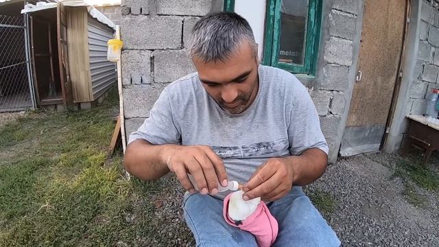 Живодёры не оставили им шанса на жизнь/Выкармливаем оставшихся в живых голубей