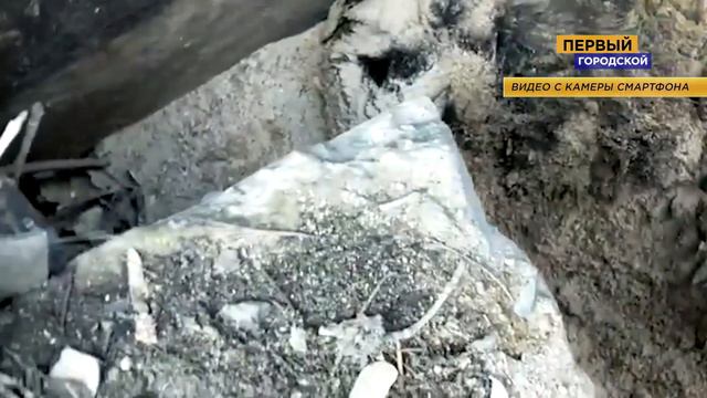 СЮЖЕТ: ТРАВЯТ СОБАК смотреть онлайн