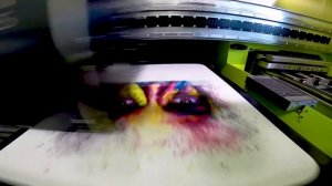 Печать на принтере Aeoon (Австрия) по полиэстеру