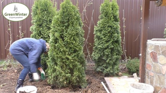 Миксбордер сделать смотреть онлайн