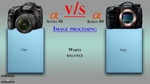 Sony Alpha 65 vs Sony Alpha 99