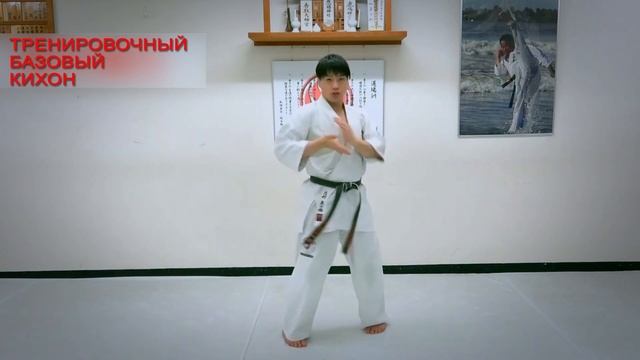 Киокусинкай.Практика Шинкиокушин.Тренировочный базовый кихон