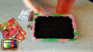 СУПЕР СРЕДСТВО ДЛЯ РАССАДЫ СТИМУЛИРУЕТ РОСТ И ЗАЩИЩАЕТ ОТ БОЛЕЗНЕЙ