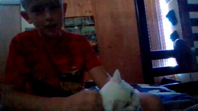 you git to see my cat смотреть онлайн