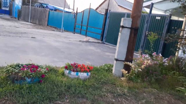 лютики-цветочки у меня в садочке... смотреть онлайн