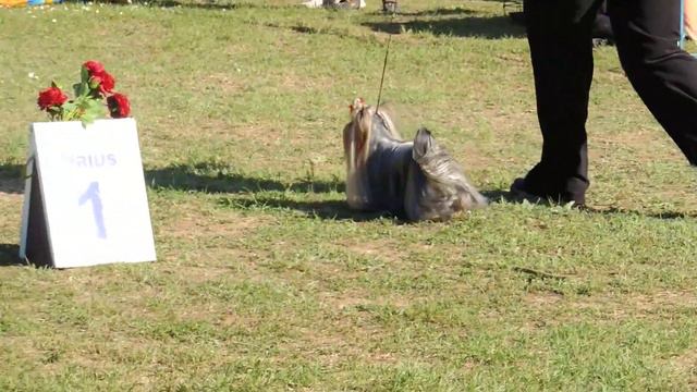 21.04.2019 Торопова дача смотреть онлайн