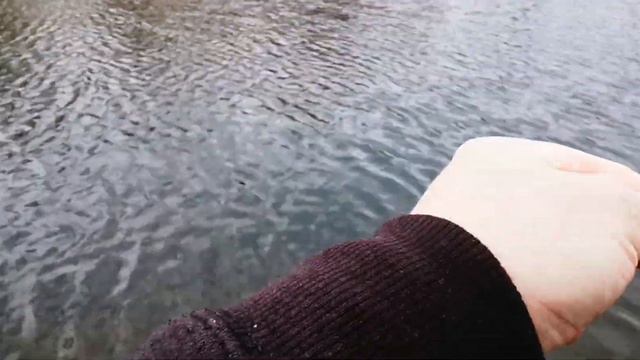 МОРМЫШИНГ РЫБАЛКА ВЕСНОЙ ГОЛОДНАЯ ПЛОТВА DAYO PRESTIGE 198 смотреть онлайн