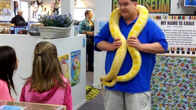 216 0705 Albino python Stella at Bug Museum смотреть онлайн