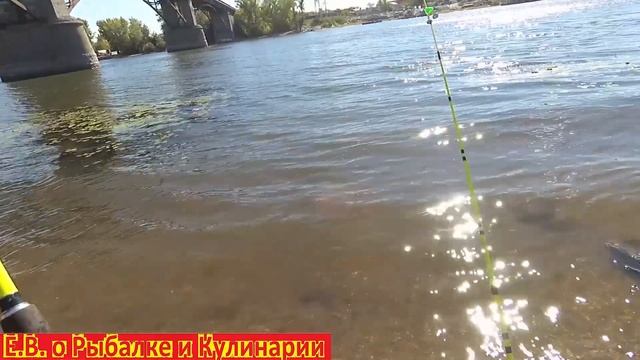 Рыбалка в Самаре идем  пешком на речку Самарку, разведка нового места ловим на фидер. смотреть онлайн