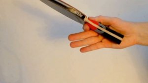 Ракетка для настольного тенниса Pro 1000 AN