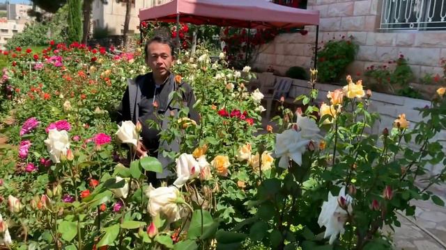 Do you have time to smell the roses? смотреть онлайн