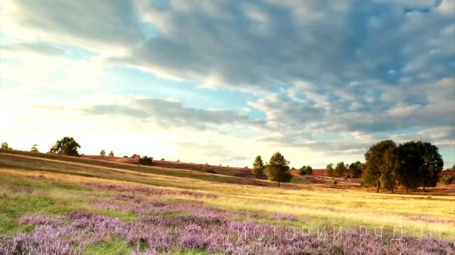 Свекровь зашла в палату к невестке, которая едва очнулась. А увидев браслет на руке ее соседки… смотреть онлайн