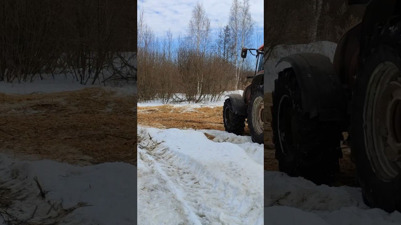 Расчистка участка на Вальтре  #фермер #мульчер #расчисткаучастка