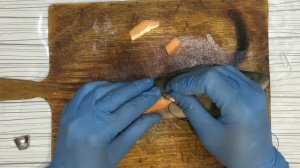 Чучело из рыбы Окунь часть 2