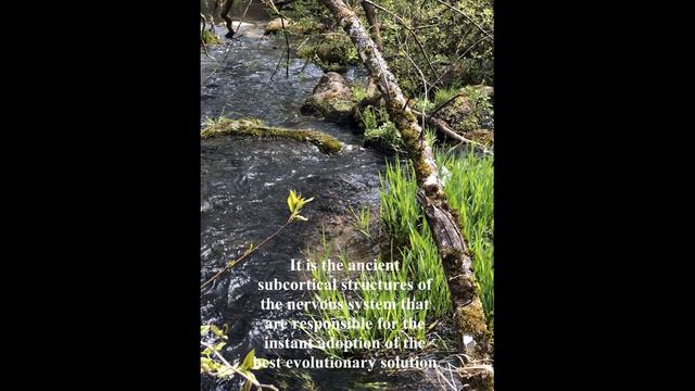 INTRO смотреть онлайн