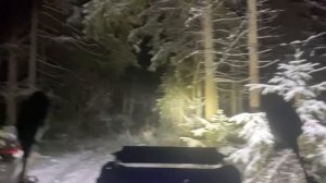 С Первым Снегом ??