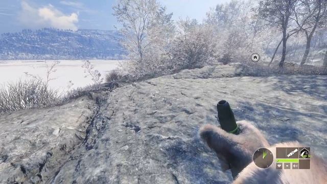 theHunter call of the wild #22 ? - Лось-Бриллиант - Винтовка - Медведь, Кабан, Рысь, Лось, Кабарга смотреть онлайн