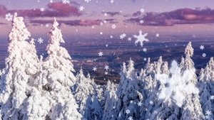 Истории из жизни. Тайна старого доктора. Жизненные истории. Интересные истории. Душевные истории.