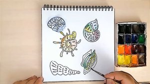 Ракушка рисунок. Как нарисовать ракушки