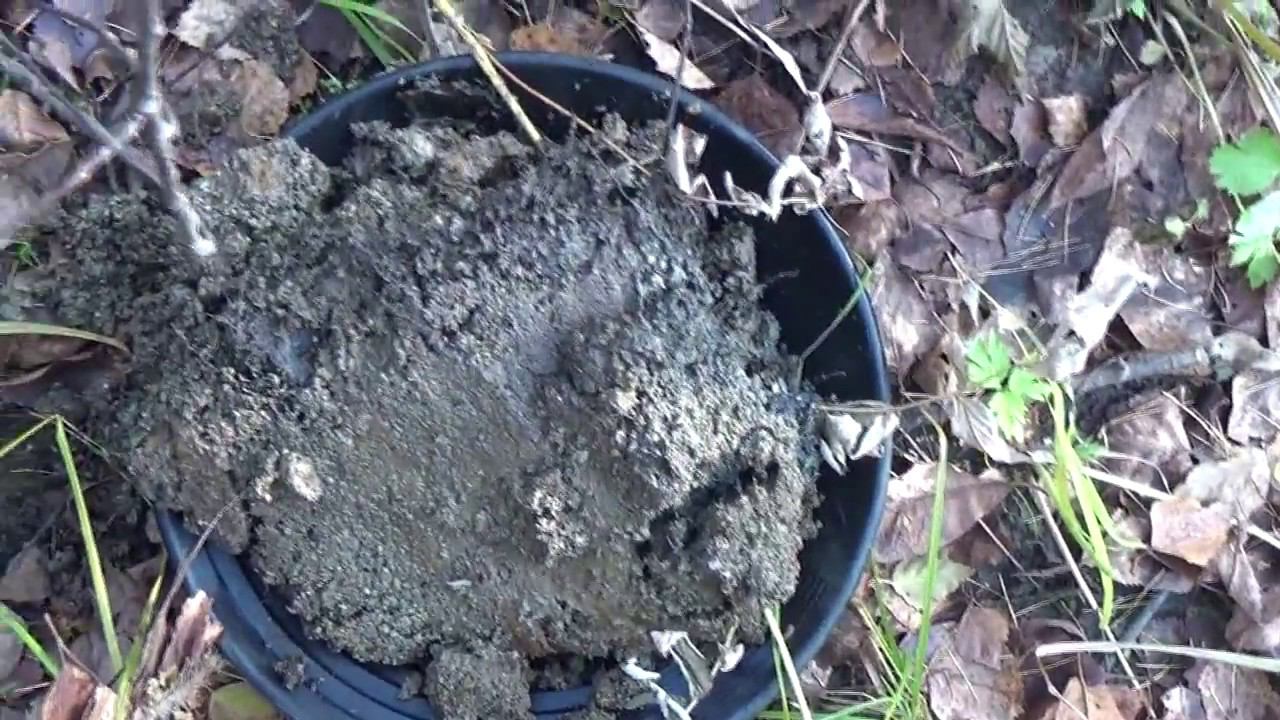 Нашёл самородное золото!