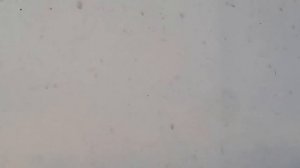 Устройство которое поможет от угона на 100% вашего хендай Соляриса и других авто