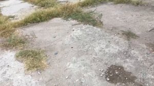 Не качает воздух компрессо или не ставьте гидрошланги на компрессор