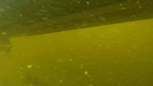 ЛОВЛЯ НА ВИБЫ / T.D. VIBRATION / Алексей Шанин смотреть онлайн