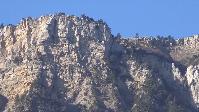 Где находится Ялтинский зоопарк "Сказка"? Впечатляющий вид вокруг! смотреть онлайн