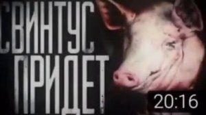 Свинтус придёт (оригинал)