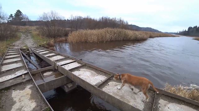 ЯСТРЕБИННОЕ ОЗЕРО