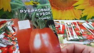 КАКИЕ ТОМАТЫ ВЫБРАТЬ? СОРТ РУБИНОВЫЙ КУБОК. Обзор Ольги Черновой.