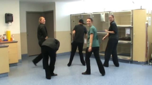 'Happy' Greencross Vets смотреть онлайн