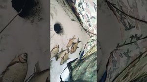 Рыбалка на Белгородском водохранилище.