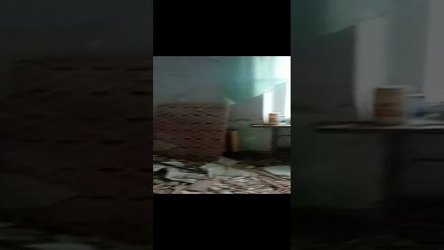 Квартира мечты 3. Снесли стены!