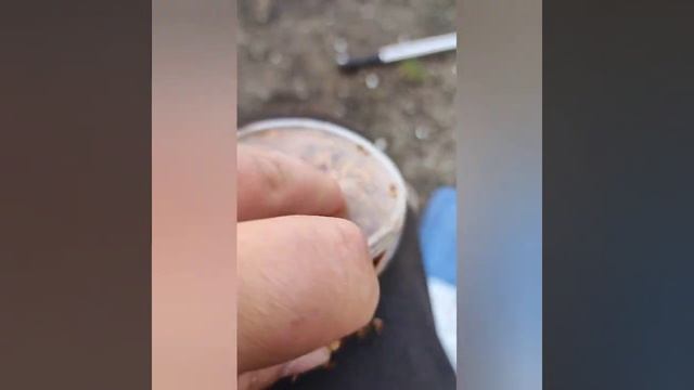 как стать депутатом смотреть онлайн