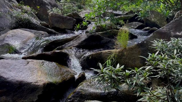 Relaxing River Sounds - Peaceful Waterfall Flowing Sound, Nature Sounds White Noise for Sleep, Stud смотреть онлайн