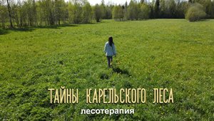 ЛЕСОТЕРАПИЯ | Тайны карельского леса