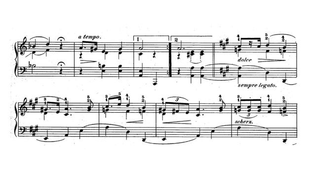 F. Chopin - Mazurka Op. 7 no. 2 in A minor смотреть онлайн