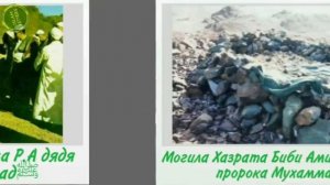 Видео которое вы никогда не видели раньше  Могилы всех пророков Святые места История