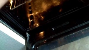 Пропитка еловой шишки буравидом.