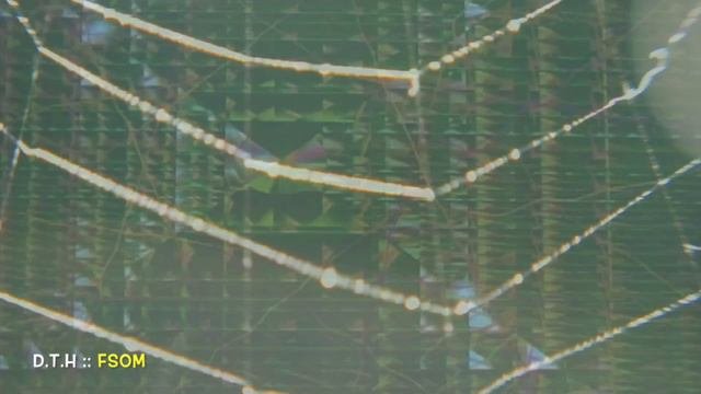 FSOM............................     (D.T.H Vs Future Sound Of London , ORB Vibe )