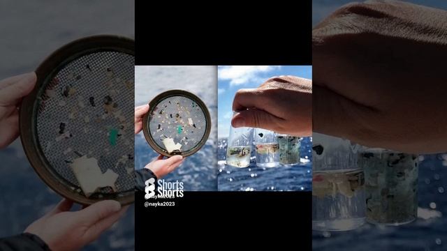 Микропластик является отличным убежищем для вирусов и бактерий #shorts #научные новости #пластик