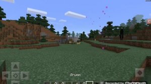 Minecraft PE》İsim etiketinin özellikleri(Bilgilendirme9)