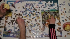 Собираем пазл на 1000 деталей /assembling 1000 pieces puzzle