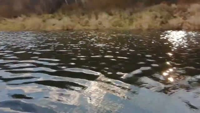 Неопреновые перчатки BFT обзор смотреть онлайн