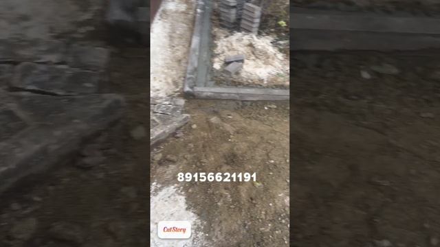 Укладка тротуарной плитки Тамбов